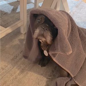 Meet your Posher, Karen